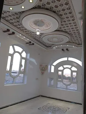 صورة إضافية