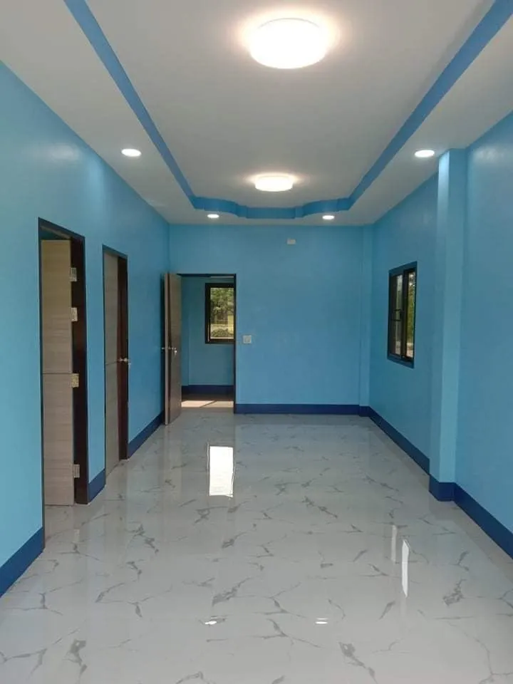 صورة المقال